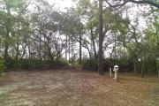 The lower Ochlockonee River is close by from rear of site.