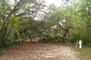 A charactered old sand live oak sits at the rear of Site 22. This site is conveniently located across from the campground facilities.
