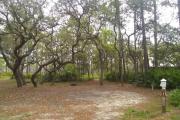 A dense canopy of Sand live oak trees offer part shade most of