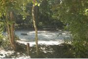 This view is from the left side of the site just before the entrance with site marker #33 showing.  This is a side view of the site and shows a picnic table and electric hookup on the right side.  The ground grill is located on the left.  This site is surrounded by a mixture of small hardwood trees and shrubs.  A trail leads out the back of the site to the restrooms.