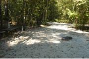 This view is from the back of the site looking toward the campground road.  The water and electric hookups are on the left, a picnic table and ground grill is on the right.  The view across the road is of heavily wooded mixed hardwood forest.
