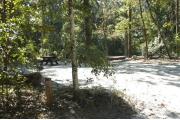 This view is from the entrance of the site looking in.  The water and electric hookups are on the right, a picnic table is in the center back of the site and  a ground grill is on the left. The site is surrounded on two sides with mixed hardwood trees and shrubs and is open to #35. A trail leads out of the back of the site to the restrooms.