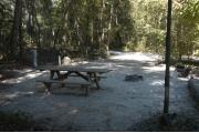 This view is from the back looking toward the campground road.  The water and electric hookups are on the left, a picnic table is centered in the back of the site and a ground grill is on the right.  The view across the road is of a heavily wooded mixed hardwood forest.  The site is surrounded on two sides with mixed hardwood trees and shrubs and is open to #35.