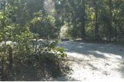 This view is from the left of the entrance with site marker #35 showing.  This is a back-in site that can accommodate campers up to 25 feet in length.