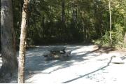This view is from the back of the site looking toward the campground road.  The view across the road is of heavily wooded mixed hardwood forest.  There is a picnic table located in the center of the site and a ground grill on the right.