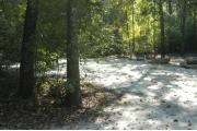 This view is from the left of the entrance with site marker #36 showing.  This is a back-in site and can accommodate campers up to 25 feet in length.    This view shows the water and electric hookups on the right.  The site is open to #37 with mixed hardwood trees and shrubs on the back and left of site.