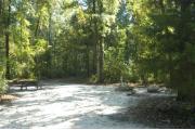This view is from the entrance of the site looking straight in.  The water and water and electric hookups are on the right, a picnic table and ground grill are on the left.  This site is surrounded by mixed hardwood trees and shrubs with an opening in the vegetation to site #37.  A trail leads out the back of the site to the restrooms.