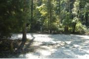 This view is from the left of the entrance with site marker #37 showing.  This is a back-in site that can accommodate campers up to 30 feet in length.  This view shows the water and electric hookups on the right side of the site.  This site is surrounded by mixed hardwood trees and shrubs with an opening to site #36.