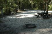 This view is from the back of the site looking toward the campground road.  The water and electric hookups are on the left, the picnic table and ground grill are on the right.  The view across the road is of heavily wooded mixed hardwood forest.
