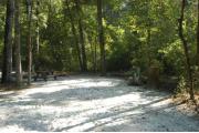 This view is from the entrance of the site looking straight in.  The water and electric hookups are on the right, a picnic table and ground grill is on the left.  This site is surrounded with mixed hardwood trees and shrubs. There is an opening in the vegetation to site #36.  There is a trail leading out the back of the site to the restrooms.