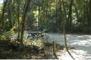 This view is from the left of the entrance with site marker #38 showing.  This is a back-in site that can accommodate campers up to 42 feet in length.  In this view you can see a picnic table on the left and water and electric hookups on the right. The site is surrounded by mixed hardwood trees and shrubs.