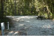 This view is from the back of the site looking toward the campground road.  The water and electric hookups are on the left, a picnic table is on the right.  The view across the road is of heavily wooded mixed hardwood forest.