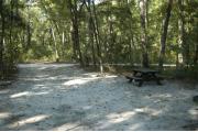 This view is from the left of the entrance with site marker #39 showing.  This is a back-in site that can accommodate campers up to 42 feet in length.  The site is surrounded by mixed hardwood trees and shrubs.