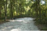 This view is from the back of the site looking toward the campground road.  There is a picnic table and ground grill on the right.  The view across the road is of heavily wooded mixed hardwood forest.  The site is surrounded with mixed hardwood trees and shrubs.