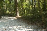 This view is at the entrance to the site with site marker #40 showing.  This is a small back-in site that can accommodate campers up to 15 feet in length.  This site is located at the bottom of a hill.  It has a beautiful large cedar tree at the back of the site and is surrounded by mixed hardwood trees and shrubs. A picnic table can be seen at the back of the site.