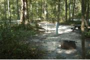 This view is from the back left side of the site looking toward the campground road.  The water and electric hookups are on the left, a ground grill is located in the back left and a picnic table is located in the back center of the site.  The view across the road is of heavily wooded mixed hardwood forest.