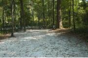 This view is from the entrance to the site looking straight in.  You can see the picnic table in the back center of the site next to a large cedar tree.  The site is surrounded by mixed hardwood trees and low growing shrubs.  You can see through the vegetation in the back of the site to site #39.