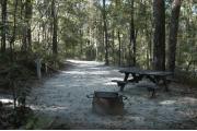 View from the entrance looking in.  This site is on a slight downward grade from the back of the site to the campground road.  The water and electric hookups are on the right, a ground grill is in the back center and a picnic table is on the left.  The site is surrounded with mixed hardwood trees and shrubs.  A trail leads out the back of the site to the restrooms.
