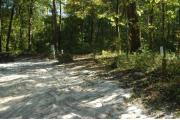 This view is from the entrance with site marker #42 showing.  This is a small back-in site that can best accommodate tents. This site is on a slight downward grade from the back of the site to the road.  The view shows the water and electric hookups on the right and a picnic table in the back.  The site is surrounded by mixed hardwood trees and low growing shrubs.