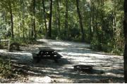 This view is from the back of the site looking toward the campground road.  The water and electric hookups are on the left, the picnic table is in the back left and the ground grill is in the back center.  The view across the road is of heavily wooded mixed hardwood forest.  The site is surrounded by mixed hardwood trees and shrubs.