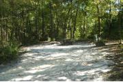 This view is from the entrance looking in.  The water and electric hookups are on the right, the picnic table is in the back right side and the ground grill is in the back center of the site.  The back of the site is heavily wooded mixed hardwood forest with a trail leading out the back to the restrooms.  Hardwood trees and low growing shrubs on either side of the site.