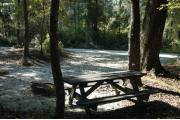 This view is from the back right side of the site looking toward the campground road.  The picnic table is in the back right side between two small hardwood trees.  The ground grill is to itsâ left. The view across the road is of heavily wooded mixed hardwood forest. The water hookup is on the far left side and there are low growing shrubs between this site and #44.