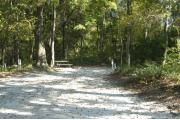This view is from the entrance looking in.  The water and electric hookups are on the right, the picnic table and ground grill are in the back left.  The back of the site is heavily wooded with mixed hardwood trees and shrub. Low growing shrubs are on either side of the site and a trail is leading out the back of the site to the restrooms.