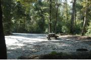 This view is from the back of the site looking toward the campground road.  The ground grill is in the back right side of the site and the picnic table is in the center right side.  The view across the road is of heavily wooded mixed hardwood forest.