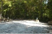 This view is from the entrance looking in.  The water and electric hookups are on the right, the picnic table and ground grill are on the left.  The back of the site is heavily wooded with a trail leading out the back to the restrooms.  The left side of the site shows low growing shrubs between this site and #43.