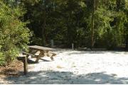 This view is from the left of the entrance with site marker #45 showing.  This is a back-in site that can accommodate a pop-up camper.  This view shows a picnic table on the left and water and electric hookups on the right.  The site is heavily wooded with mixed hardwood trees and shrubs on all three sides.