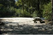 This view is from the back of the site looking toward the campground road.  The picnic table can be seen on the right.  The view across the road is of heavily wooded mixed hardwood forest.
