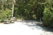 This view is from the entrance looking in.  The water and electric hookups are on the right, the picnic table and ground grill is on the left.  The site is heavily wooded with mixed hardwood trees and shrubs on all sides. There is a trail leading out the back of the site to the restrooms.