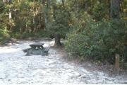 This view is from the right of the entrance with site marker #46 showing.  This is a back-in site that can accommodate a pop-up camper.  There is a picnic table in the center right side of the site and ground grill in the back center.  The site is surrounded by mixed hardwood trees and shrubs.