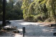 This view is from the back of the site looking toward the campground road.  The ground grill is in the back center of the site, water and electric hookups are on the back left side, a picnic table is on the center left.  The view across the road is of heavily wooded mixed hardwood forest.  The right side of the site is hardwood trees covered in grapevines.