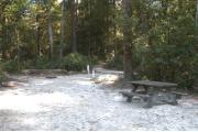 This view is from the entrance looking in.  The picnic table is on the right with the water and electric hookups behind it.  The ground grill is in the back center.  The site is surrounded by hardwood trees, shrubs and grapevines.  The back right side of the site is open and has a sidewalk coming up from the restroom area.