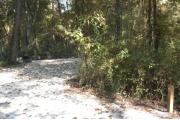 This view is from the right of the entrance with site marker #47 showing.  This is an ADA back-in site that can accommodate campers up to 15 feet in length.  This site has a hard lime rock surface and an ADA ground grill.  There is a sidewalk leading from the back of the site to the restroom area.  This site is surrounded with hardwood trees, shrubs and vines.