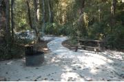 This view is from within the site and shows the ADA ground grill, picnic table and sidewalk.  The site is surrounded with hardwood trees, shrubs and vines.