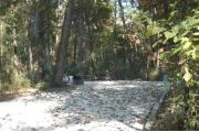 This view is from the entrance looking in.  The water and electric hookups are on the right, the picnic table is in the center back and the ground grill is on the left.  There is a sidewalk leading out the back of the site to the restroom area.  The site is surrounded by hardwood trees, shrubs and vines.
