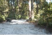 This view is from the entrance with site marker #48 showing.  This is a back in site that can accommodate campers up to 30 feet in length.  This view shows a picnic table on the left.  The site is surrounded by mixed hardwood trees and shrubs.
