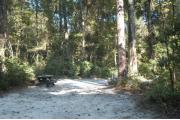 This view is from the entrance looking in.  The water and electric hookups are on the right, the picnic table and ground grill are on the left.  The site is surrounded by mixed hardwood trees and shrubs.  There is a trail leading out the back to the restrooms.