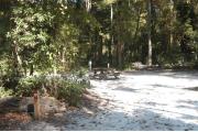 This view is from the left of the entrance with site marker #50 showing.  This is a back-in site that can accommodate campers up to 25 feet in length.  This view shows the water and electric hookups on the right and a picnic table in the center of the site.  There are low growing shrubs on the right side of this site making it open to #51.