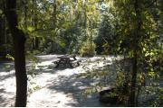 This view is from the back of the site looking toward the campground road.  A ground grill is located in the back right side and a picnic table is in the center of the site.  This site has a wide entrance with a small tree, a stump and shrubs in the middle of it.  The view across the road is of heavily wooded mixed hardwood forest.
