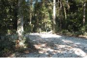 This view is taken from the left of the entrance with site marker #51 showing.  This is a back-in site that can accommodate campers up to 25 feet in length.  The view shows the water and electric hookups on the right side of the site.  The site is surrounded with mixed hardwood trees and shrubs.