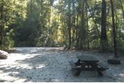 This view is from the back of the site looking toward the campground road.  The picnic table and ground grill are on the right side of the site.  The view across the road is of heavily wooded mixed hardwood forest.