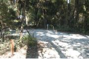 This view is from the left of the entrance with site marker #52 showing.  This is a back-in site that can accommodate campers up to 25 feet in length.  This view shows the water and electric hookups on the right side of the site.  The site is surrounded by mixed hardwood trees and shrubs.  You can just see the  restrooms through the trees at the back of the site.
