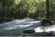 This view is from the back of the site looking toward the campground road.  The picnic table is on the right with the ground grill located in the back center of the site.  The view across the road is of heavily wooded mixed hardwood forest.