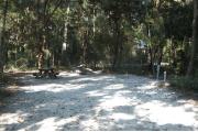 This view is from the entrance looking in.  The water and electric hookups are on the right, the picnic table is on the left and the ground grill is located in the back center of the site.  This site is surrounded by mixed hardwood trees and shrubs. There is a trail leading out the back of the site to the restrooms.