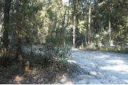 This view is from the left of the entrance with site marker #53 showing.  This is a back-in site that is recommended for tents only.  This site is surrounded by mixed hardwood trees and shrubs.  The vegetation at the back of the site between it and #54 is sparse, leaving it rather open to that site.