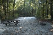 This view is from the back of the site looking toward the campground road.  The water and electric hookups are on the left, the picnic table is in the back center and the ground grill is on the back right side of the site.  The view across the road is of heavily wooded mixed hardwood forest.