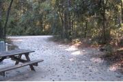 This view is from the back of the site looking toward the campground road.  The water and electric hookups are on the left with a picnic table behind them. A ground grill is on the right.  The view across the road is of heavily wooded mixed hardwood forest.  Hardwood trees and shrubs are on the right side of this site,